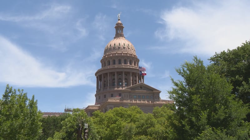 La representante estatal demócrata Mihaela Plesa, (D)-Plano, lidera la iniciativa y pide al...