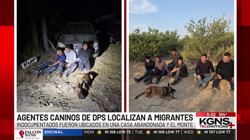 Agentes caninos de DPS localizan a indocumentados en ranchos del condado de Webb