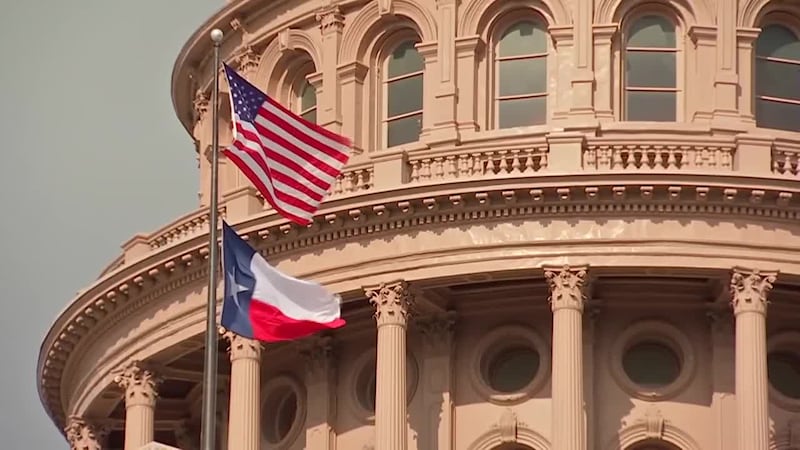 ARCHIVO: Un legislador de Texas opina sobre el proyecto de ley de cupones escolares.