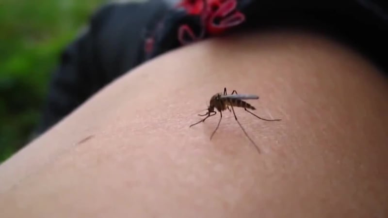 CDC issues warning about West Nile Virus