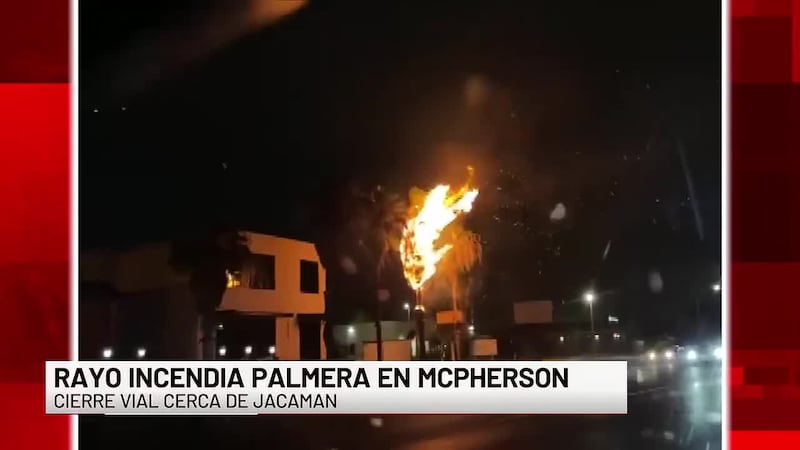 Rayo provoca incendio en palmera en el centro de Laredo