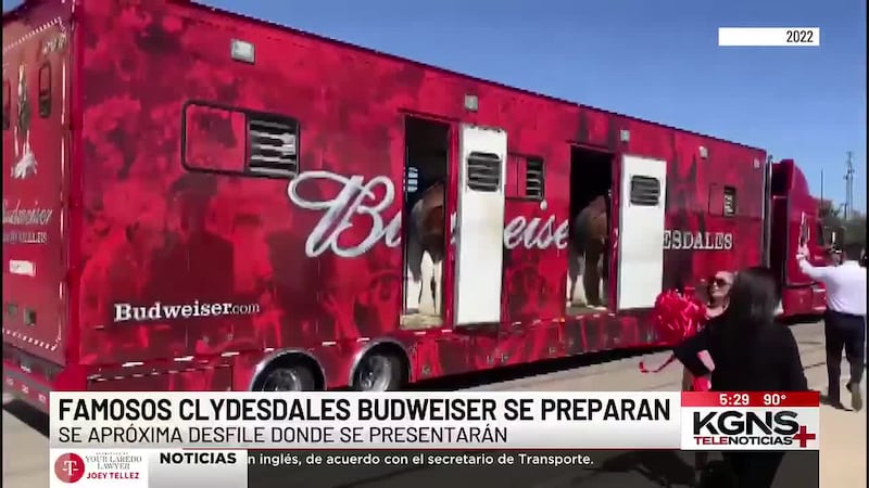 Preparan los famosos Clydesdales Budweiser para desfile de WBCA