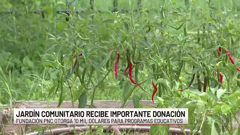 Donativo impulsará talleres educativos en jardín comunitario de Laredo