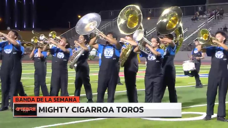 BANDA DE LA SEMANA 8
