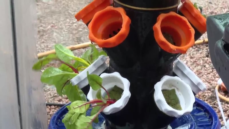 Laredo garden introduces soil-free planting system with 3D-printed towers