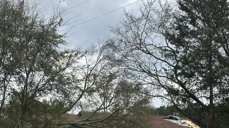 El Servicio Meteorológico Nacional confirma que un tornado causó daños al norte de Lindale