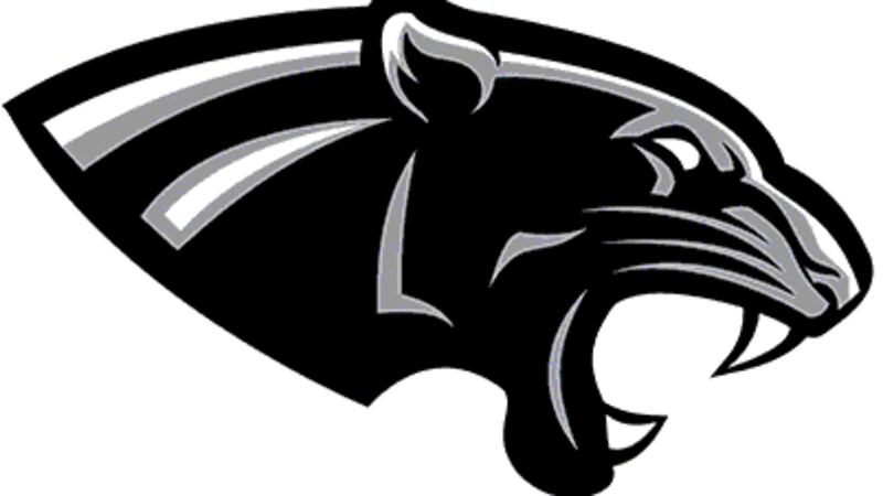 United South Panthers mascot logo
