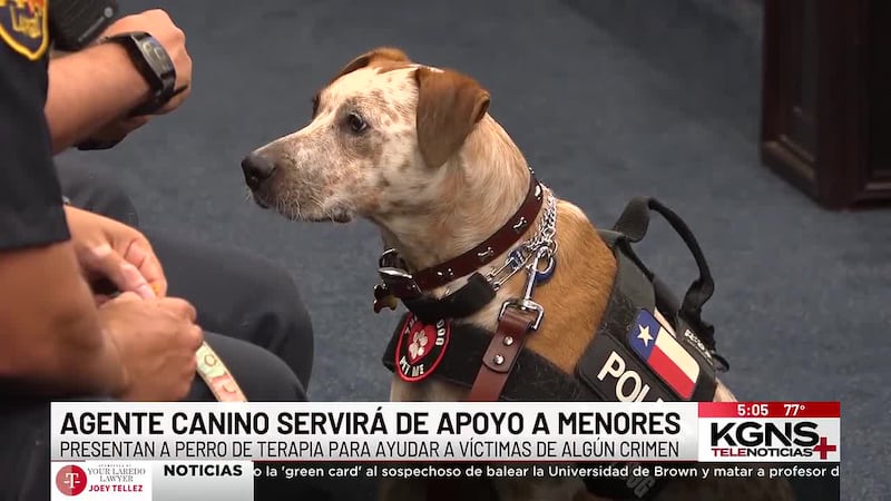 Presentan a perro de terapia para ayudar a víctimas de crimen