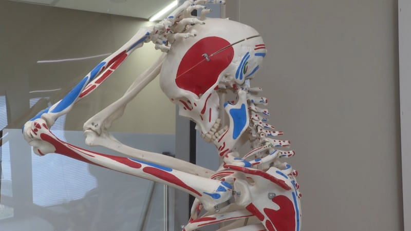 Texas A&M International University (TAMIU) has opened a new Clinical Health Sciences Center on...