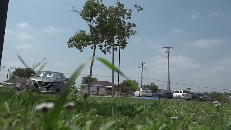 Keep Laredo Beautiful seeks volunteers for Earth Day tree planting