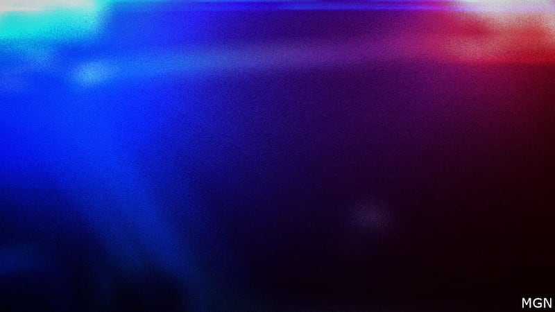 Los investigadores dijeron que el niño obtuvo acceso a una pistola de 9 mm dentro del vehículo...