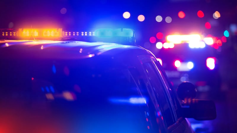File Photo. Police Lights nighttime Generic.