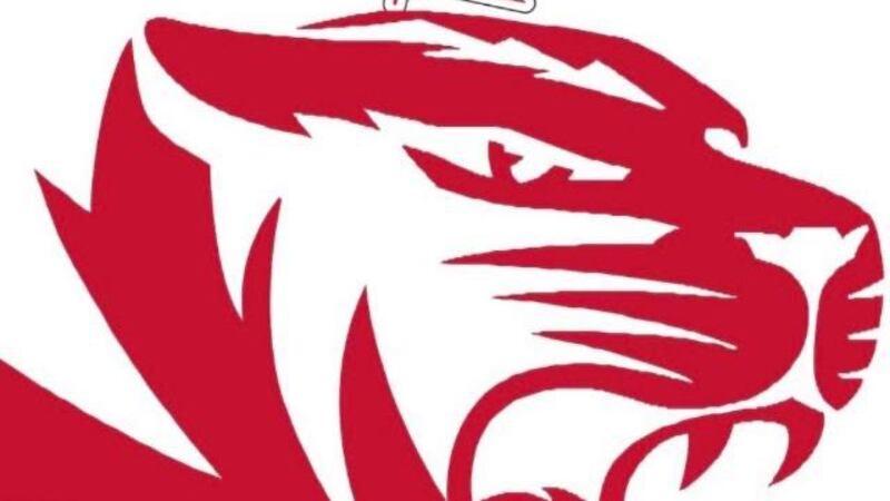 Martin Tigers mascot logo