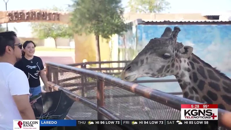 Invitan a visitar el Zoológico en Nuevo Laredo