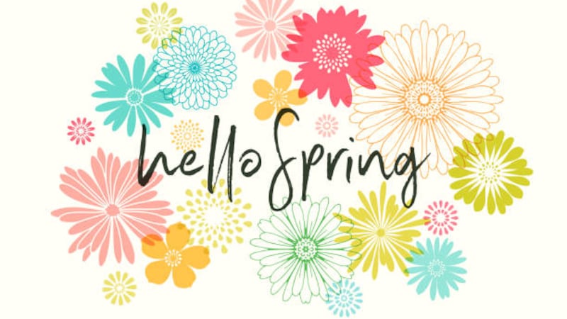 Colorful graphic flowers illustration.