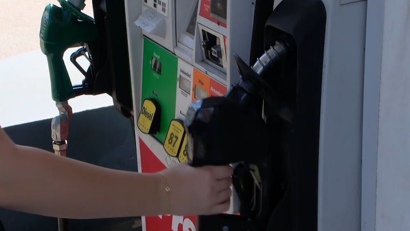 As gas prices climb across South Carolina, two state lawmakers are proposing a temporary pause...