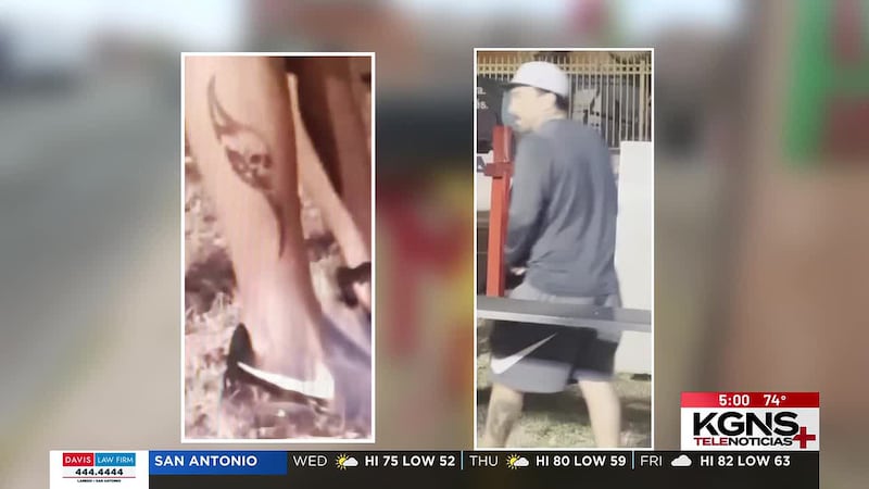 Investigan pelea ocurrida en un puesto de tacos de Laredo