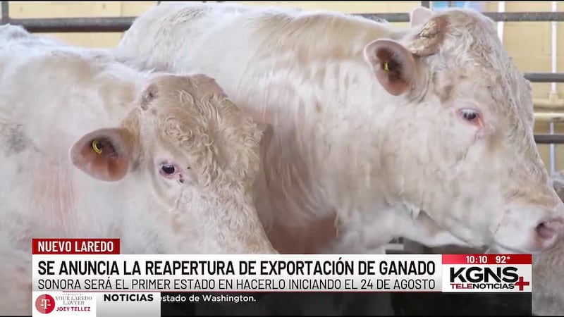 México se prepara para reanudar exportación de ganado a EE.UU.