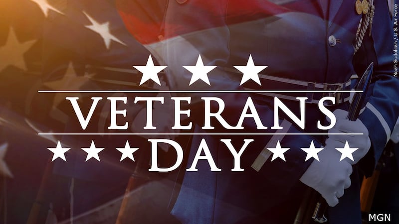 Join Bay County in honoring veterans at the annual Veterans Day Parade on November 11 at 8:30...