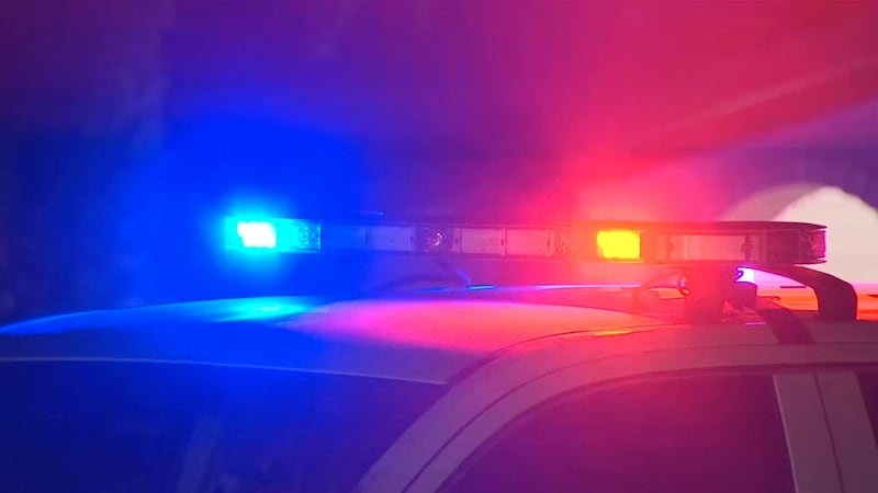 File photo of a police car at night.