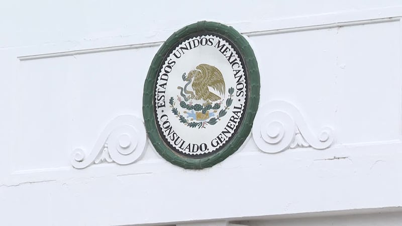 Border Front: Mexican Consulate explains migrant recovery