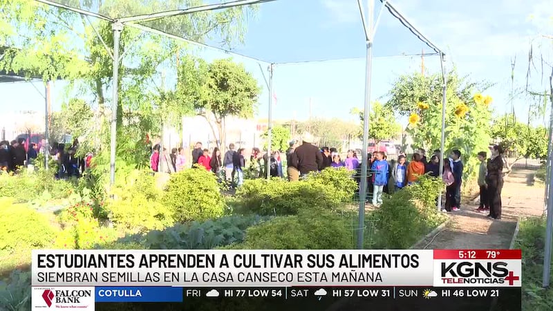 Estudiantes de Laredo aprenden a cultivar sus alimentos con programa “Seeds of Growth”