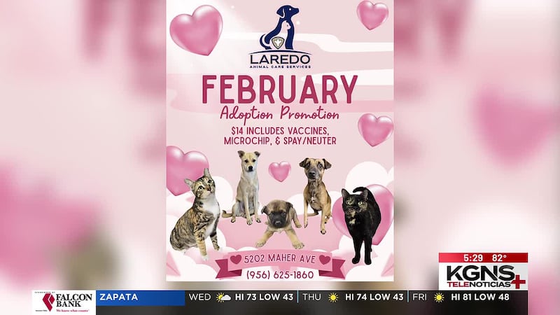 LACS ofrece promoción de adopción en febrero