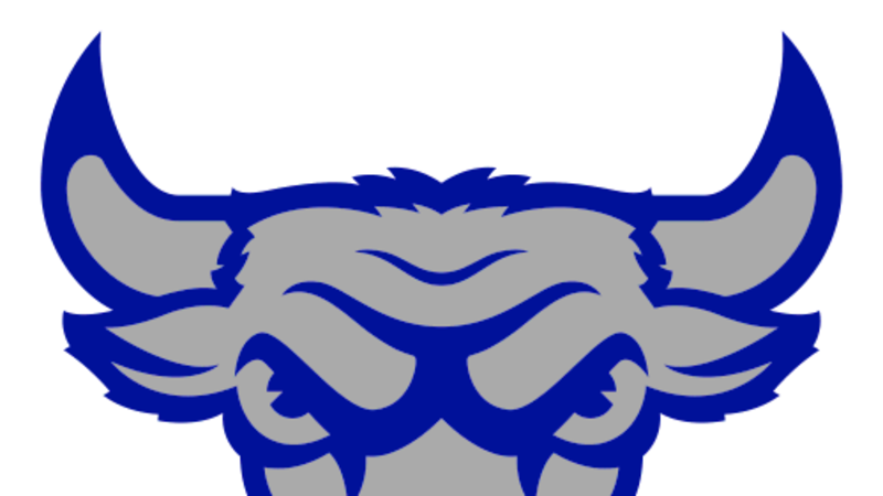 Cigarroa Toros mascot logo.