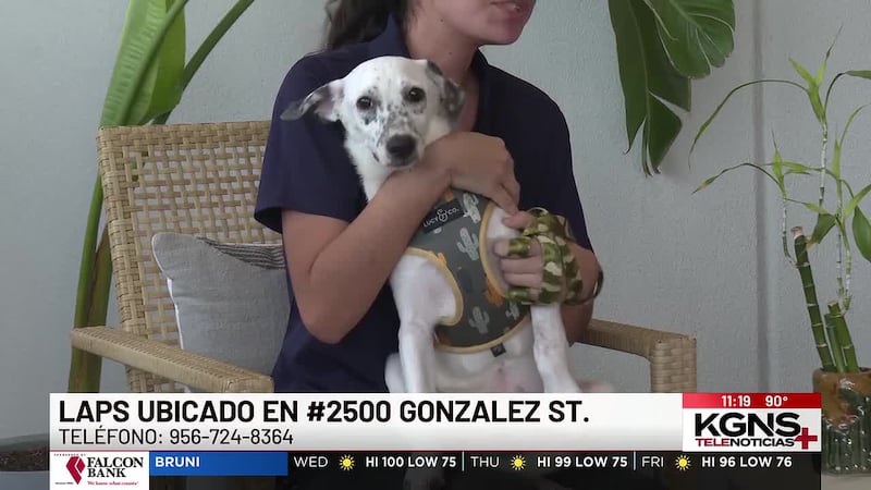 ¡Conoce a “Scuttle” nuestra Mascota de la Semana!