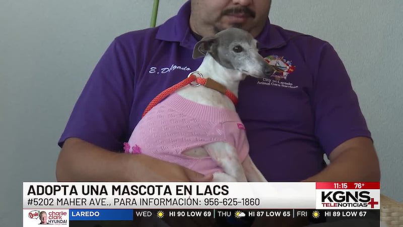 ¡Conoce a “Aleah” nuestra mascota de la semana!