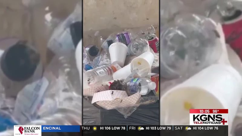 Enjambre de abejas ataca a niños de liga infantil en parque al sur de Laredo