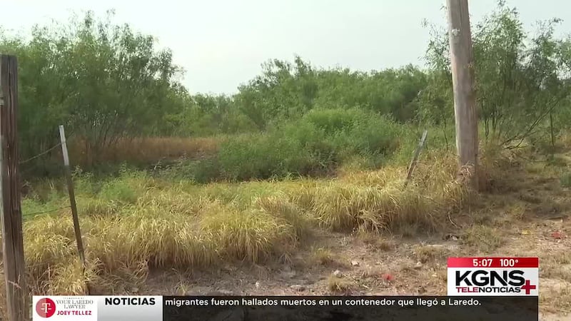Preocupa hierba y basura en propiedades de Laredo tras confirmarse el virus del Nilo Occidental