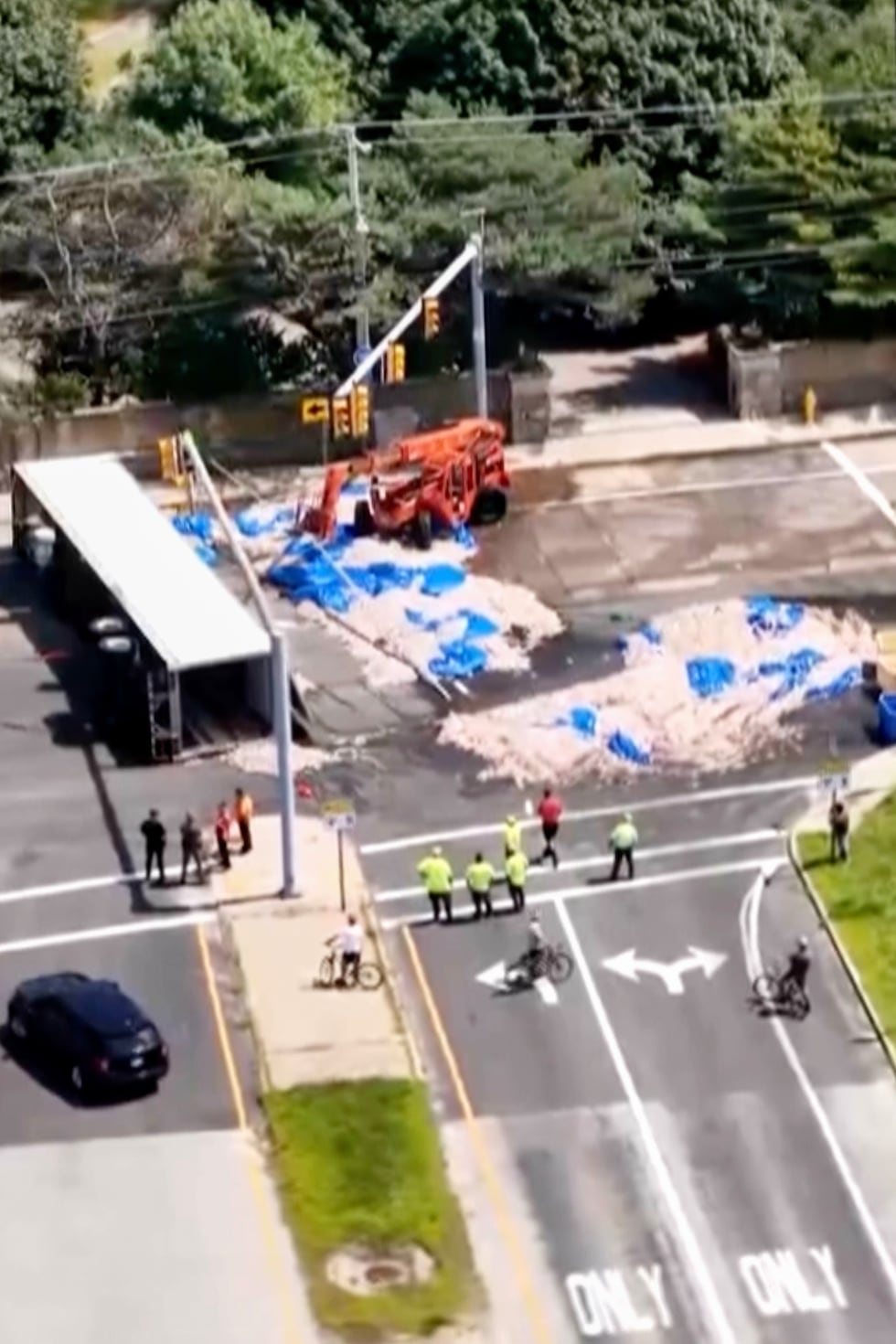 En esta imagen tomada con un dron, trabajadores recogen calamares de una calle, el domingo 16...