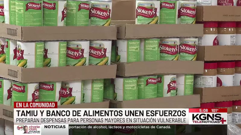 Banco de Alimentos y estudiantes de TAMIU arman más de 400 despensas para adultos mayores