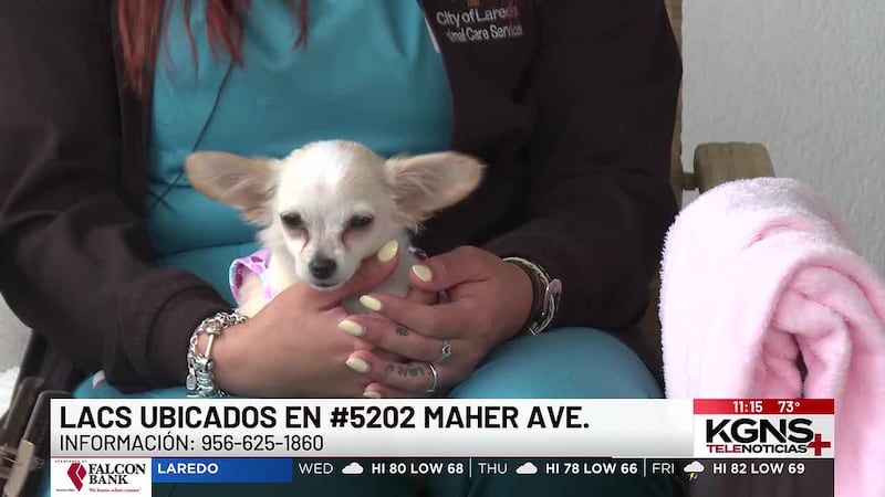 ¡Conoce a “Tinkerbell” nuestra Mascota de la Semana!