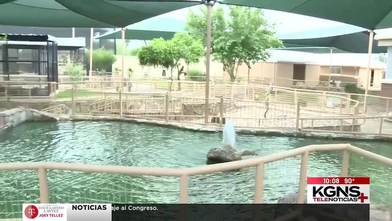 Reabre Centro Ambiental Lamar Bruni Vergara