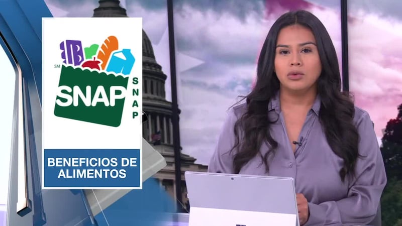 Noticias de Texas: Edición Digital