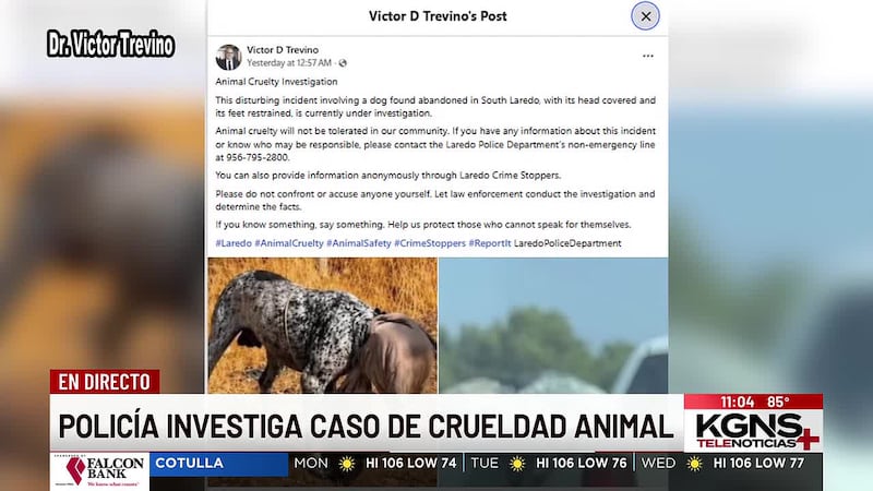 Policía de Laredo investiga caso de crueldad animal