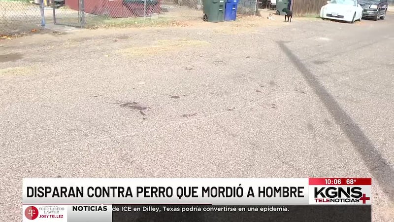 Hombre resulta herido tras mordedura de perro