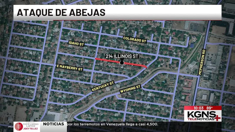 Reportan ataque de abejas en el área de Illinois Street en Laredo