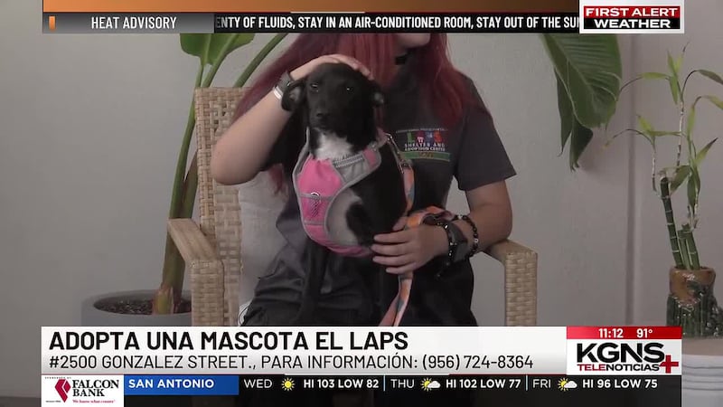 ¡Conoce a “Aquata” nuestra mascota de la semana!