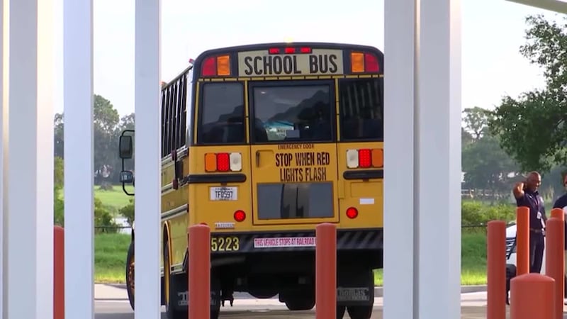 Siguiendo los estándares de nutrición, pero con una receta única, afirman que es un plato al...