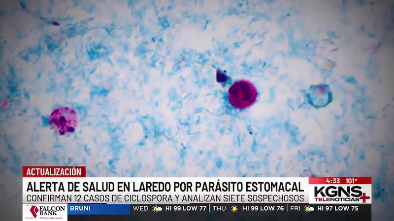 Confirman 12 casos de ciclospora y siete sospechosos en Laredo