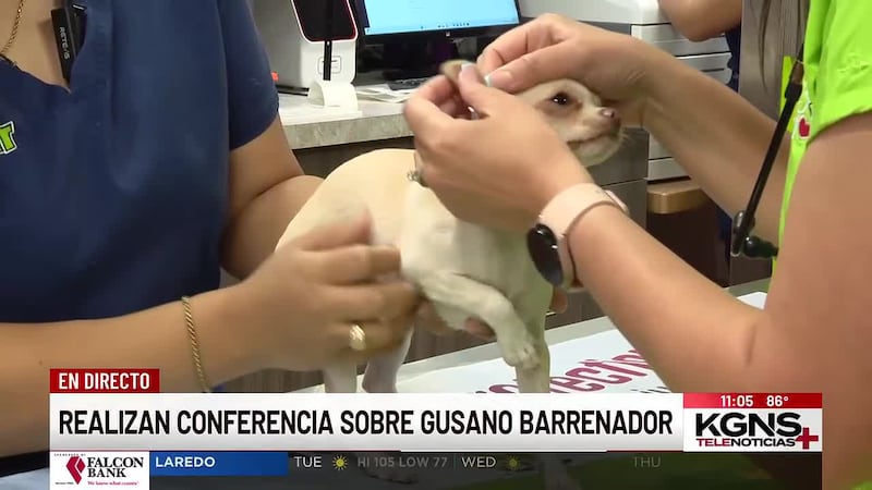 Condado de Webb realiza conferencia de prensa sobre gusano barrenador