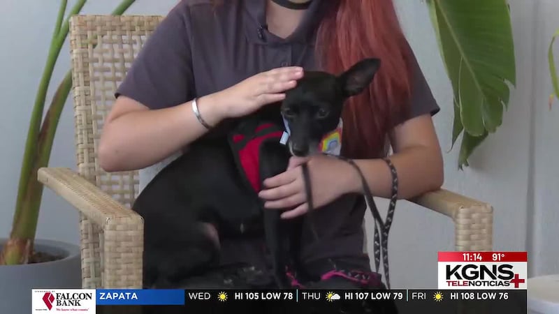 ¡Conoce a “Uma” nuestra mascota de la semana!