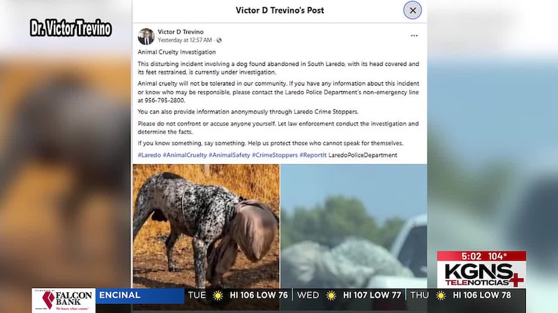 Indignación por caso de crueldad animal en Laredo