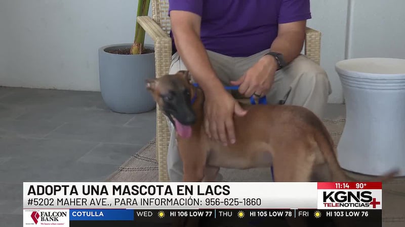 ¡Conoce a “Tera” nuestra mascota de la semana!