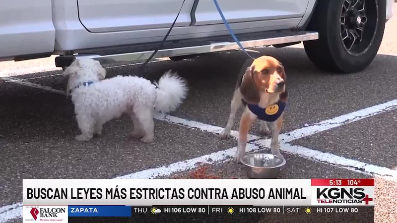 Buscan leyes más estrictas contra el abuso animal en Laredo