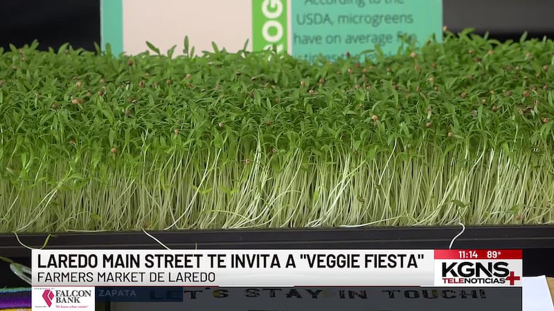 Laredo Main Street te invita a “Veggie Fiesta”