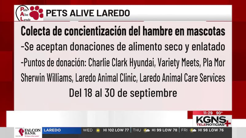 Pets Alive Laredo realizará colecta de concientización del hambre en mascotas